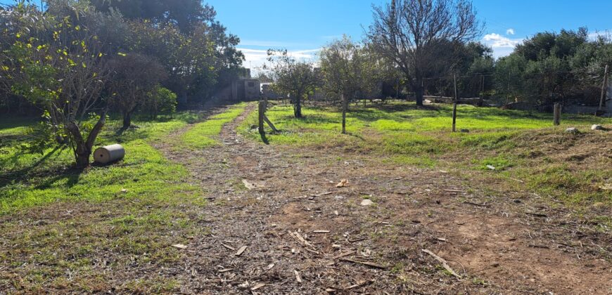 FINCA A 3KM DEL CENTRO