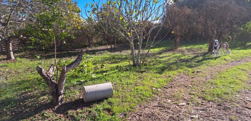 FINCA A 3KM DEL CENTRO