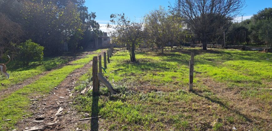 FINCA A 3KM DEL CENTRO