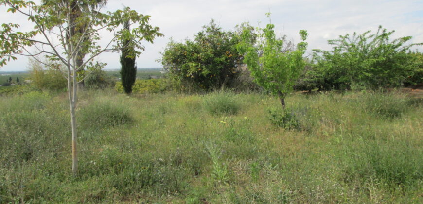 FINCA RÚSTICA CON CASETA