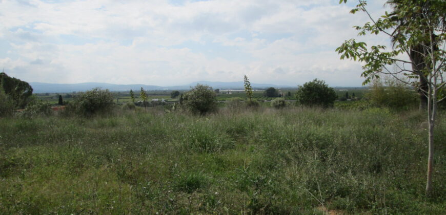 FINCA RÚSTICA CON CASETA